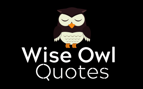 Wise Owl - Question and Answers